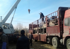 佛山順德到永州物流專(zhuān)線-順德區(qū)到永州貨運(yùn)公司